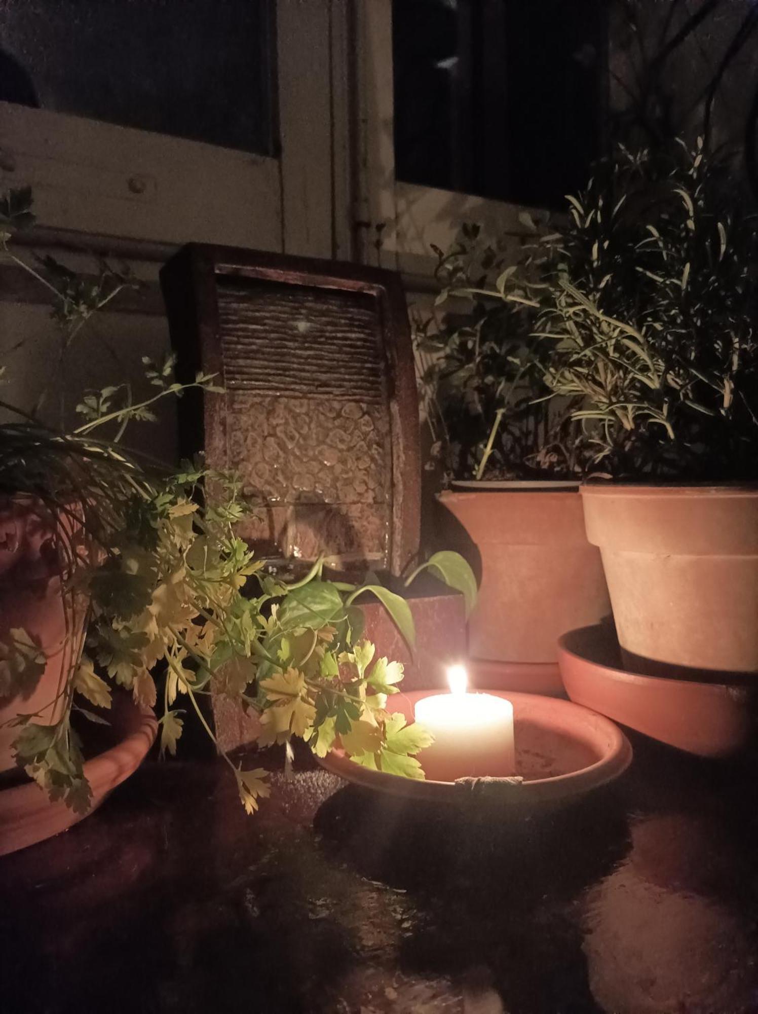 ペルージャBoh & Boh A Casa Di Luca And His Catsアパートメント エクステリア 写真