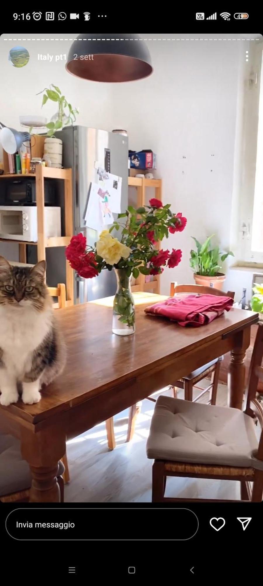 ペルージャBoh & Boh A Casa Di Luca And His Catsアパートメント エクステリア 写真